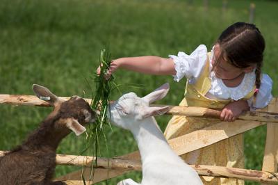 Tiere hautnah erleben