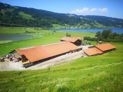 66f50904-8970-473a-b4c9-7b387aa1189c