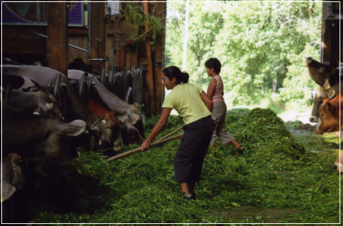 Bei uns macht Arbeit Spaß