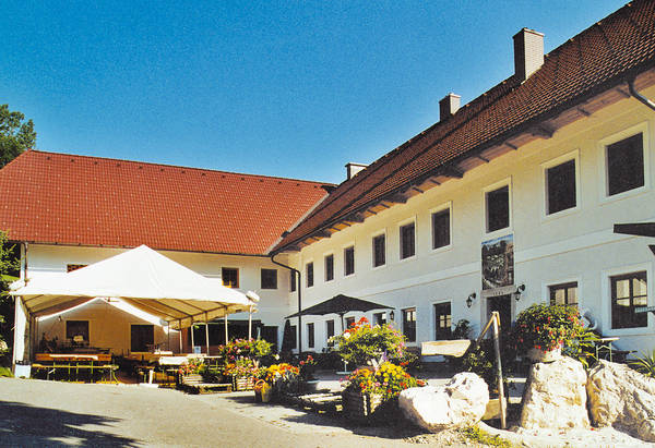 Weindi bei der Arbeit