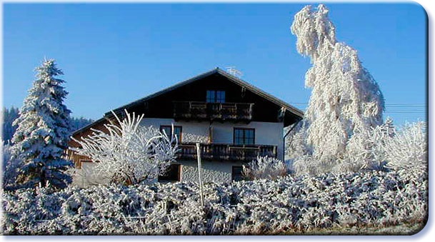winter