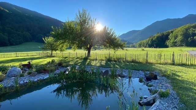 Morgensonne am Schwimmteich