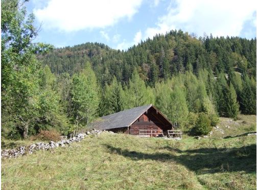 Die Sautränkalm 1055 m