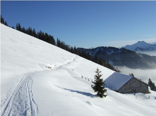 Forststraße bis zum Ochsenberg