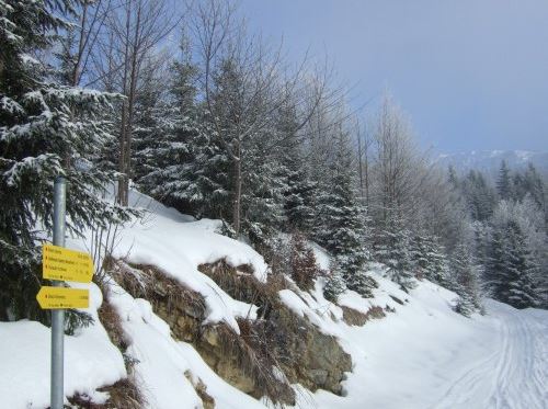 Abzweigung zum Spielberg auf 1.170 m