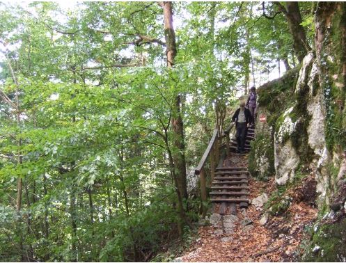 Abstieg zum Falkensteinsattel