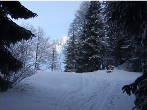 Zum Spielberg - hinter Kreuz beginnt anspuchsvoller, steiler Abschnitt