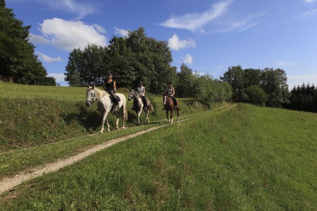 Wanderreiten am Reitbauernhof Gro\u00dfreithner