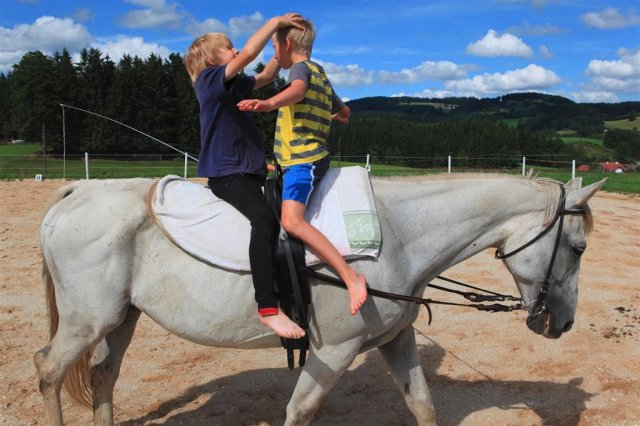 Voltigieren - Turnen am Pferd