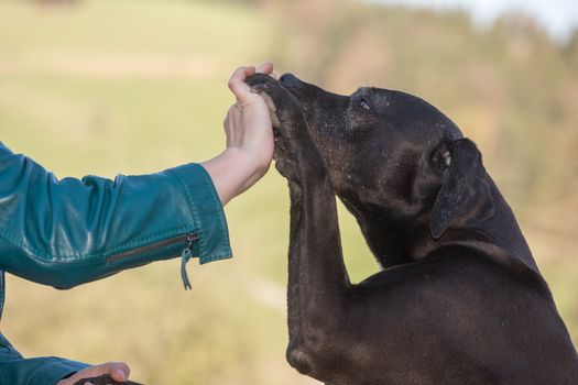 Dr. vet. Barbara Weidinger