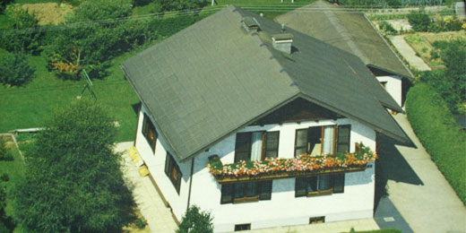 Dekor und Garten_523