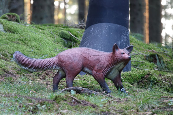 3D-Bogensportparcours