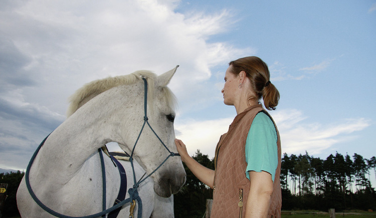 Prandstetterhof_weisses_Pferd