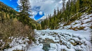 IMG_5270