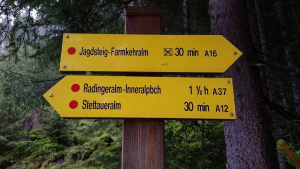 20150526_112430.jpg