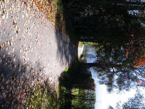 RW_River_Run_Mayrhofen 13