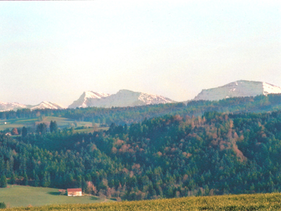 wimmer_sicht_2