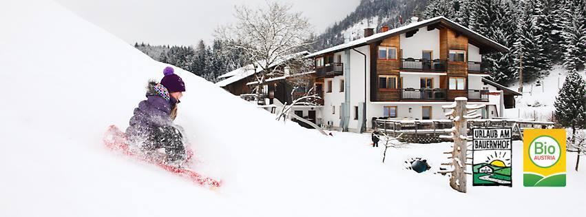 Bachrain im Winter