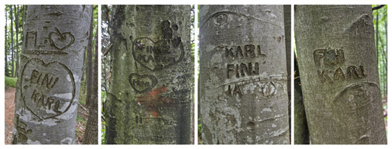 Kunst im angrenzenden Rathaus von Konrad Neubauer
