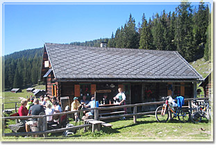 Viehbergalm