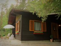 Chalet Astrid