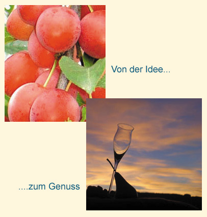titelbild-destillerie-ollmann