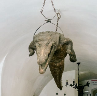 Krokodil in der Pfarrgasse