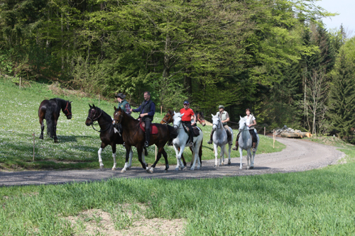 Reitgruppe