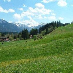 Bild 37