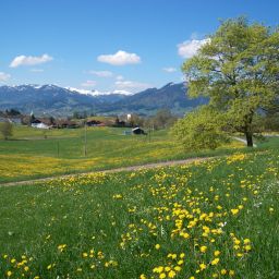 Bild 25