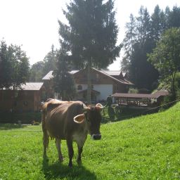 Bild 39