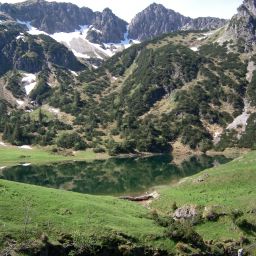 Bild 36
