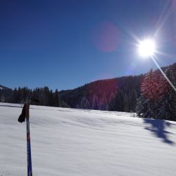 Bild 30