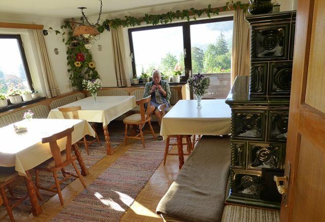 Unsere Kühe beim Grasen