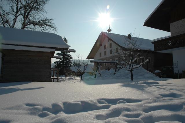Wintersonne