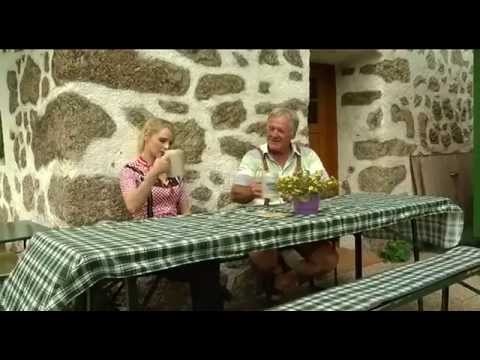 Wandern am Donausteig - St.Nikola-Waldhausen-Bad Kreuzen-Grein