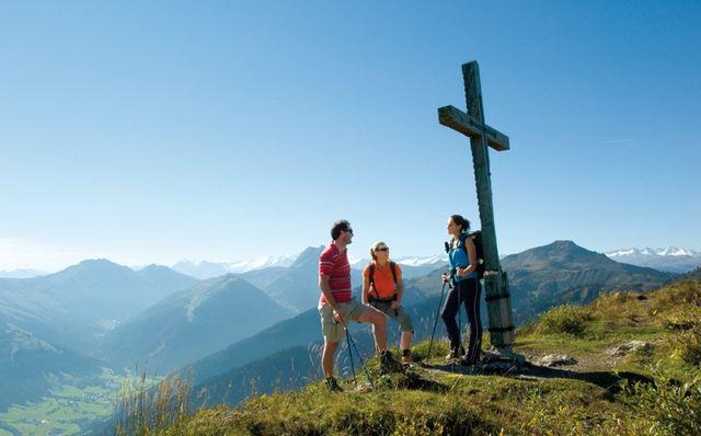 Jungvieh auf der Alm