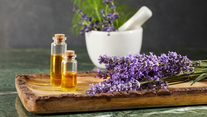Lavendel Nationalpark Apotheke Molln