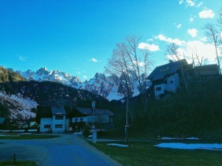 Ausblick
