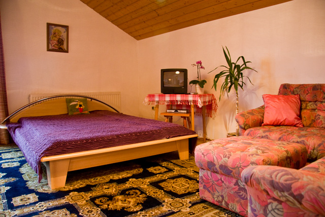 Wohnzimmer Ferienwohnung Nord Katharina Reichl Steinbach am Attersee