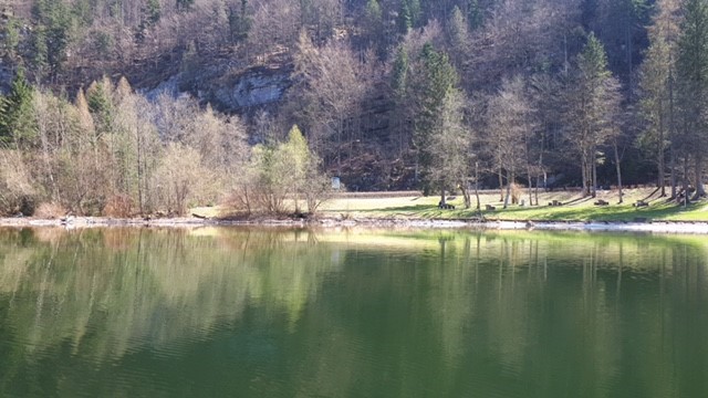 Hundebadeplatz in Obertraun am Hallstättersee