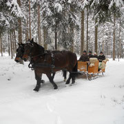 Pferdeschlittenfahrten Hermann Seiberl