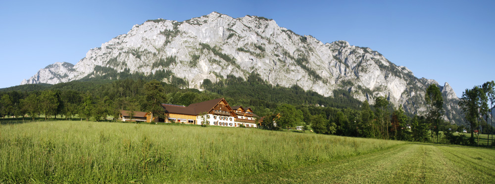 Haslbauer