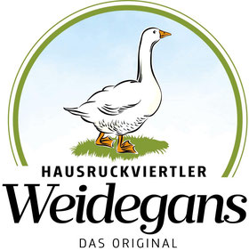 neues logo gans