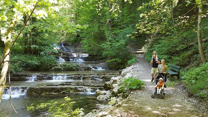 Wald-Wasser-Zauberweg