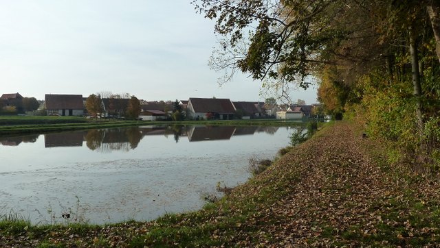 Teichlandschaft bei Birnbaum