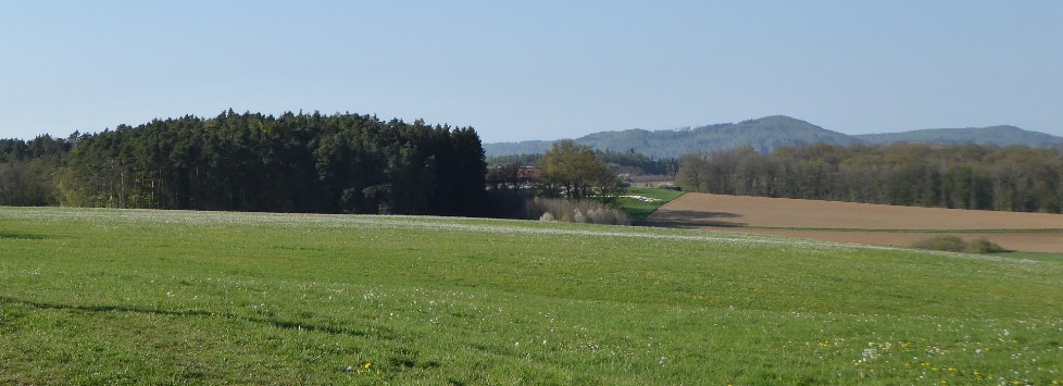 Wiese kurz vor Engelthal