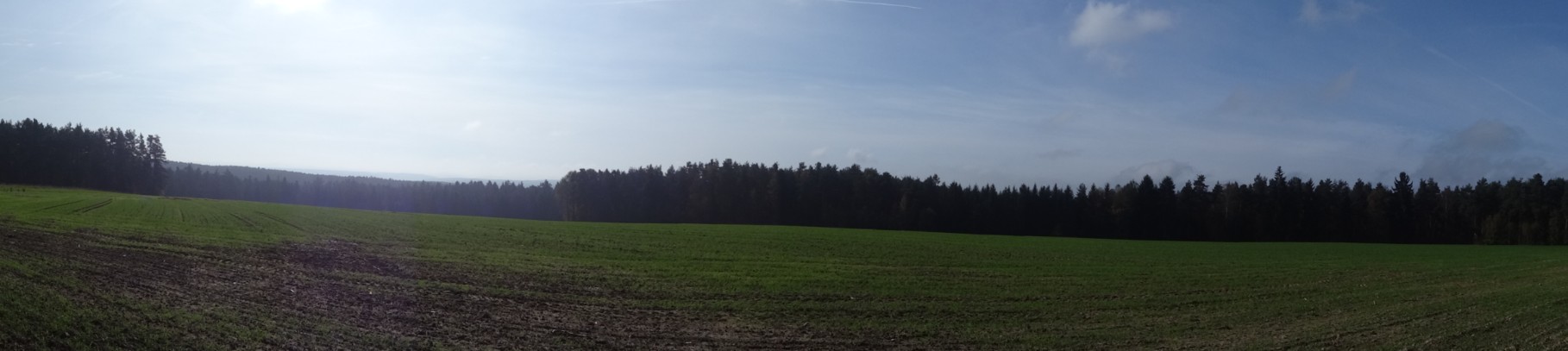 Blick von Haselhof in den Bodenwöhrer Forst