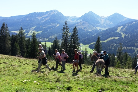 Dreigestirn über Schattwald