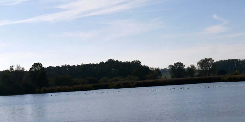Am Großen Strichweiher